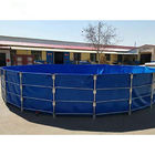 Customized Size Frame PVC Fish Farming Water Tank /tank fish farming supplier