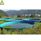 Fiberglass Fish Water Tank Koi Breeding Water Pond for Aquaponic RAS Recirculating Aquaculture System supplier