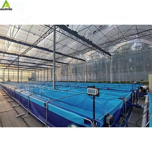 China Factory Hot Sale Hydroponic Growth System Foldable  Hydroponic Pool Tank with Galvanized steel pipe frame